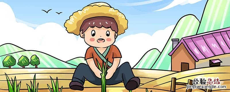 拔苗助长的故事主要讲了什么 拔苗助长属于哪种故事?