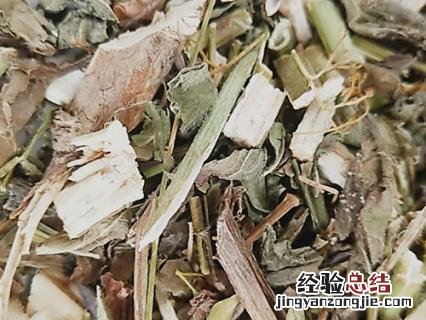 败酱草别名叫什么 败酱草
