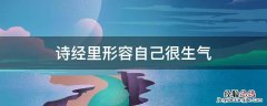 诗经里形容自己很生气 表达非常生气的诗句