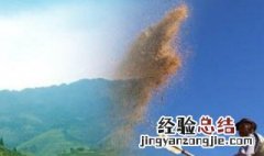 芒种这首歌和芒种有什么几把关系 芒种这首歌有什么深层含义