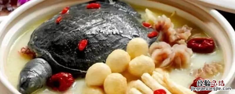 甲鱼炖汤怎么炖好吃 甲鱼怎么做好吃炖汤