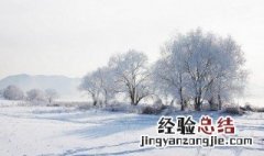 鹅毛纷飞里天地共白头什么意思 鹅毛飞舞天地白下一句