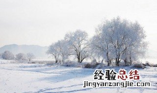 鹅毛纷飞里天地共白头什么意思 鹅毛飞舞天地白下一句