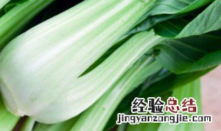上海青营养价值及功效与作用 上海青有啥营养价值