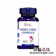 仙鹤草 仙鹤草图片