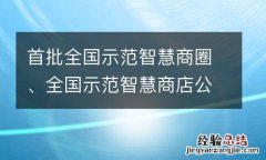 名单 首批全国示范智慧商圈、全国示范智慧商店公布