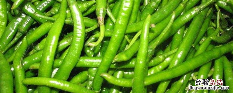 尖椒是杭椒还是线椒 杭椒和线椒的区别