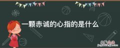 一颗赤诚的心指的是什么 一片赤诚的心的意思