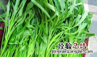 空心菜反季节可以吃吗 空心菜反季节可以吃吗有毒吗