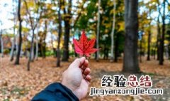 关于秋天的小诗自编4句 关于秋天的小诗