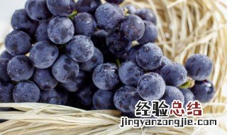 萄组词语二字三个词 萄组词语二字