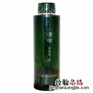 金银花 金银花露写了哪些车文