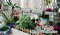 春季北露台种什么菜 北露台适合种什么大型植物