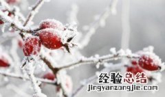 冬天早安点赞率最高的说说句子 早安经典点赞最多的句子短句