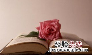 弃之可惜什么意思 失之无畏,弃之可惜什么意思