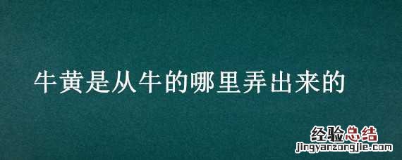 牛黄是从牛的哪里弄出来的 牛黄是从牛的哪里弄出来的哈利波特