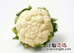 油菜花粉 油菜花粉对前列腺炎的作用