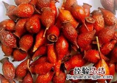 金樱子 金樱子怎样泡酒最正确