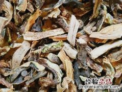 骨碎补 骨碎补的副作用和毒性