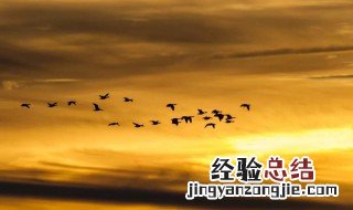 白露时节出生寓意 白露日生的孩子有什么寓意