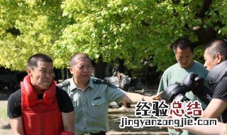徐佳演过的电影 徐佳演过的电影电视有哪些