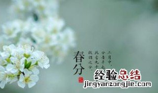 春分节气需要注意什么 春分节气需要注意什么事项