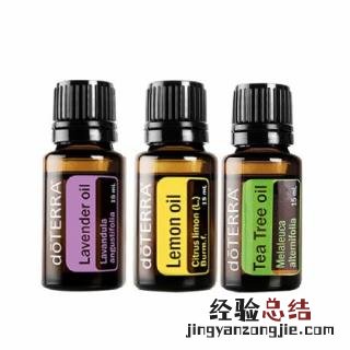 洋葱用英语怎么说 洋葱