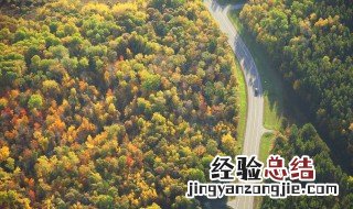 关于秋的诗歌自己写的 关于秋的诗歌