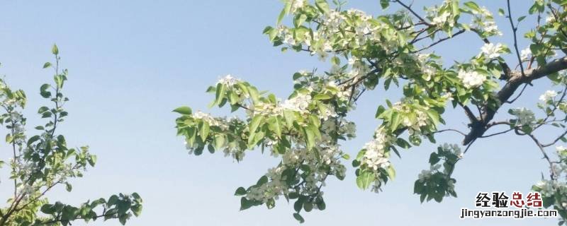 广东南台是哪里 南台是哪里