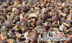 木子油的功效与作用 木子油的功效与作用及禁忌