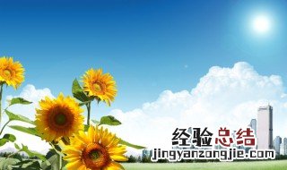 关于观察的名言警句有哪些 关于观察的名言警句