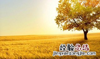 关于秋天的名言诗句 关于秋天的名言
