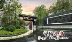 院子前后适合种什么树 院子前后适合种什么树好