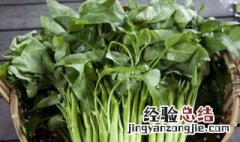 北方清明前适合种什么蔬菜 北方清明前适合种什么蔬菜水果