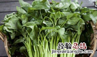 北方清明前适合种什么蔬菜 北方清明前适合种什么蔬菜水果