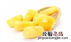 菠萝蜜的污渍怎么处理好 菠萝蜜的污渍怎么处理