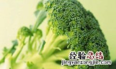 南方西兰花最晚几月份播种 南方西兰花什么时候种最合适