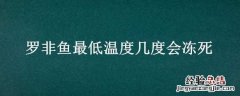 罗非鱼最低温度几度会冻死 罗非鱼几度水温会冻死