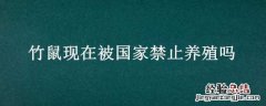 竹鼠现在被国家禁止养殖吗 竹鼠允许养殖吗