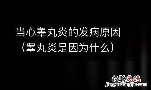 睾丸炎是因为什么 当心睾丸炎的发病原因