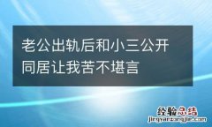 老公出轨后和小三公开同居让我苦不堪言