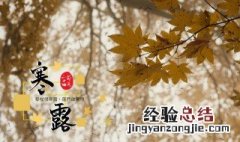 寒露是什么意思啊 寒露是什么意思啊图片