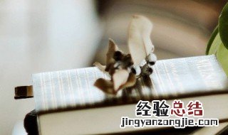 关于祖国的小诗歌(20个字以内 关于祖国的小诗