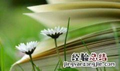关于青春的简短小诗 关于青春的简短小诗自创