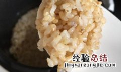 发芽米饭怎么做 发芽米饭怎么做的