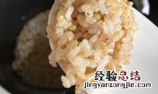 发芽米饭怎么做 发芽米饭怎么做的