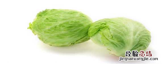 包菜种植技术和种植时间 包菜种植技术和种植时间一样吗