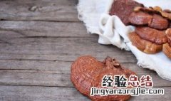 灵芝不能与什么食物同食