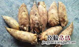 竹笋怎样处理才可食用? 竹笋怎么处理不会坏