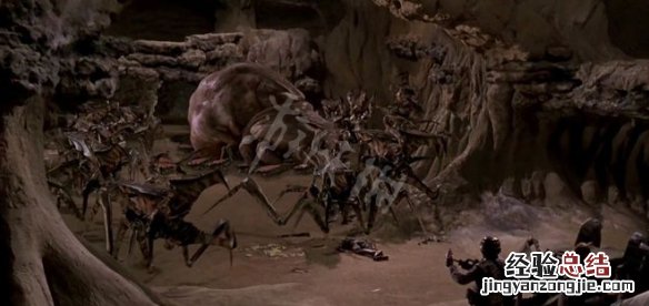 星河战队人类指挥部虫族介绍 星河战队虫族种类全集